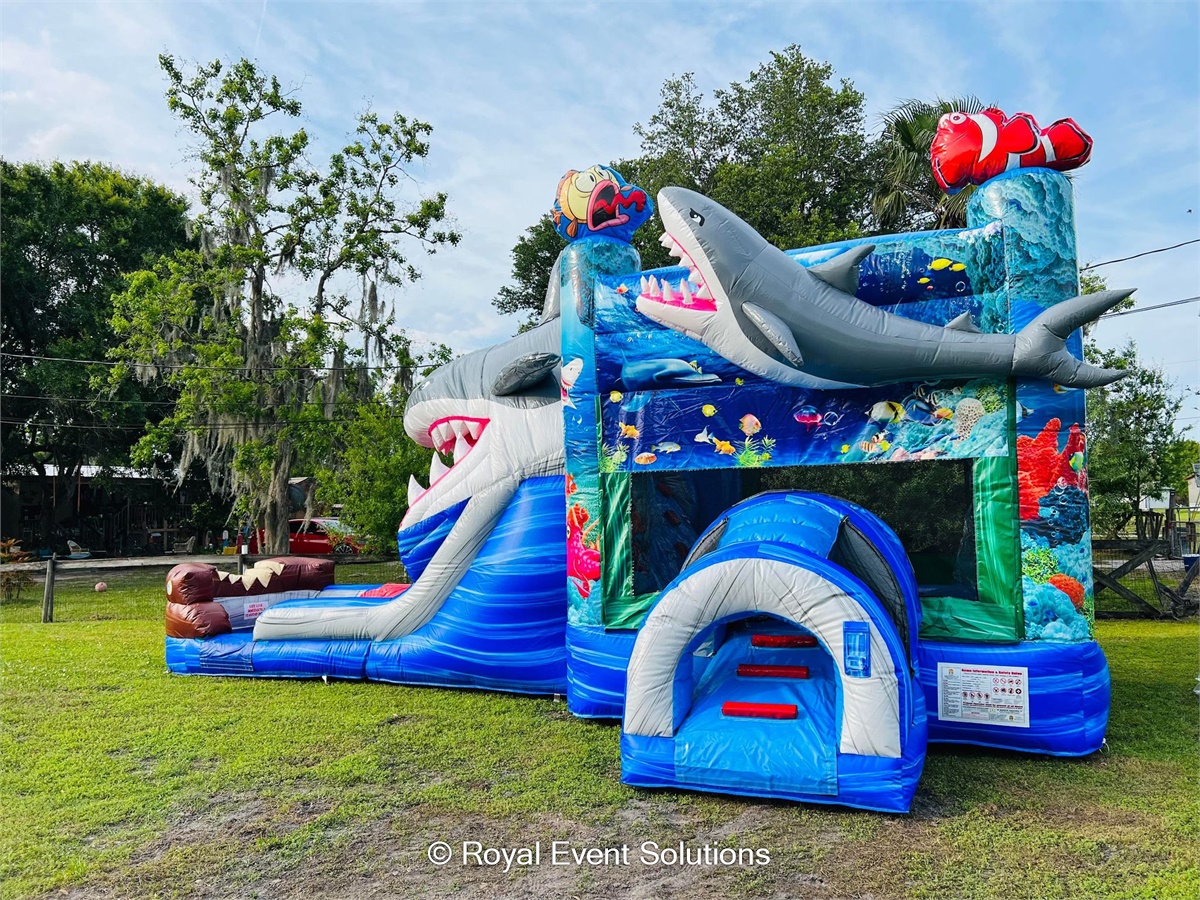 Shark Combo - Inflatables, Tents, Balloon Decorations, Flower Walls in ...